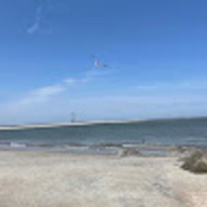 Meet your Posher, Ava